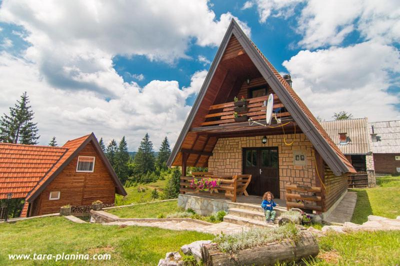 Planinska Kuca Dusan Mitrovac Bagian luar foto