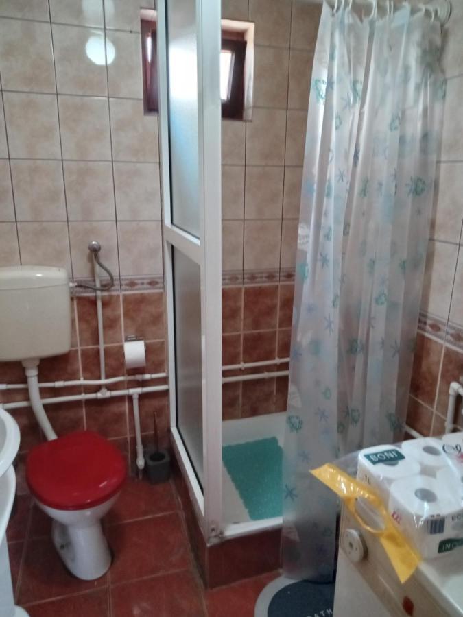 Planinska Kuca Dusan Mitrovac Bagian luar foto