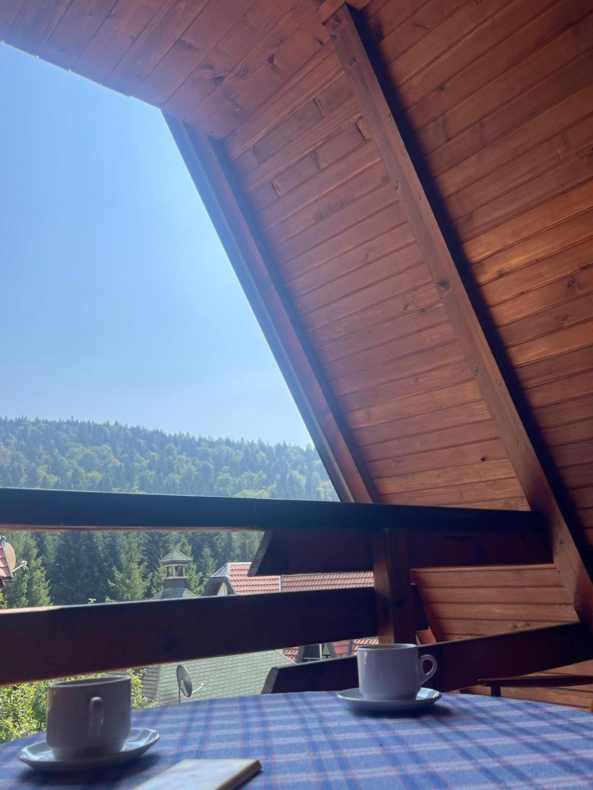 Planinska Kuca Dusan Mitrovac Bagian luar foto